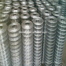 Factory wholesale welded wire mesh / galvanized wire mesh rolls